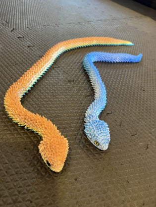 Snake - Large